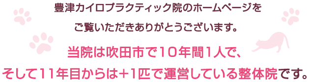 豊津カイロプラクティック院のホームページをご覧いただきありがとうございます。当院は吹田市で10年間1人で、そして11年目からは+1匹で運営している整体院です