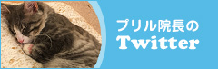 プリル院長のTwitter
