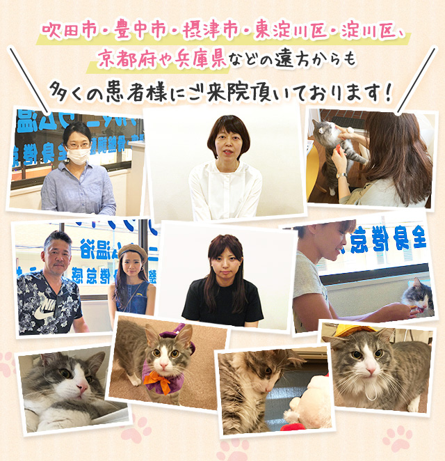 吹田市・豊中市・摂津市・東淀川区・淀川区、京都府や兵庫県などの遠方からも多くの患者さまにご来院頂いております！